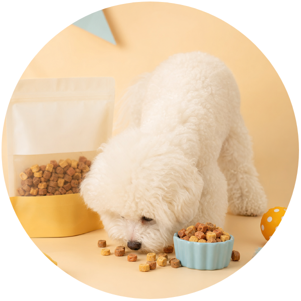 狗狗零食